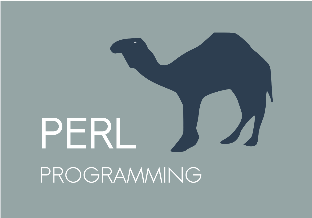 PERL Programming