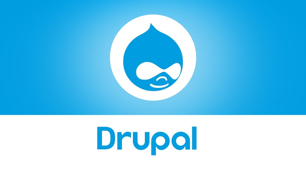 Drupal Development Experts