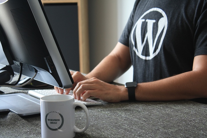 WordPress Website Design Company India