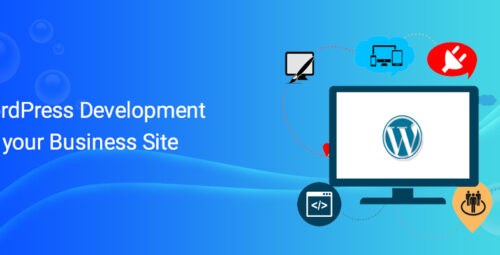 WordPress Development for your Business Site