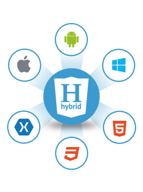 Hybrid Mobile Apps