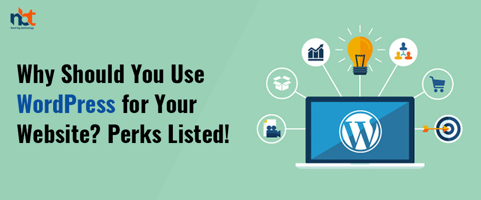 Why Should You Use WordPress for Your Website? Perks Listed!