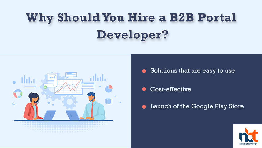 Why Should You Hire a B2B Portal Developer