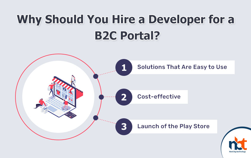 Why Should You Hire a Developer for a B2C Portal