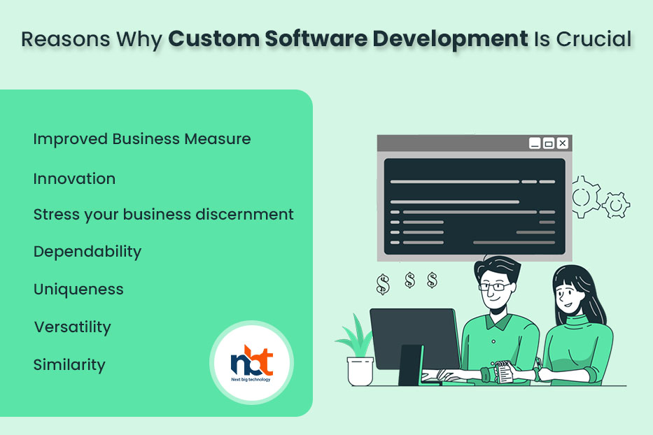 Reasons Why Custom Software Development Is Crucial