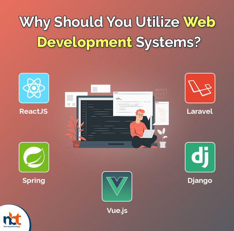 Why Should You Utilize Web Development Systems