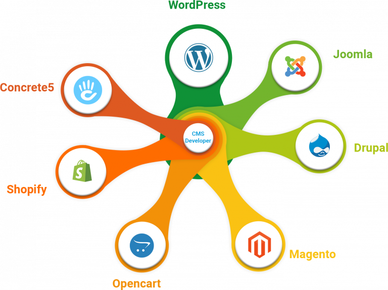 Hire Cms Web Developers | Hire Best CMS Website Developers