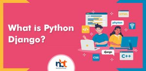Hiring the Top Django Web Development Company (Complete Guide)