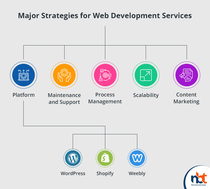 Major Strategies for Web Development Services