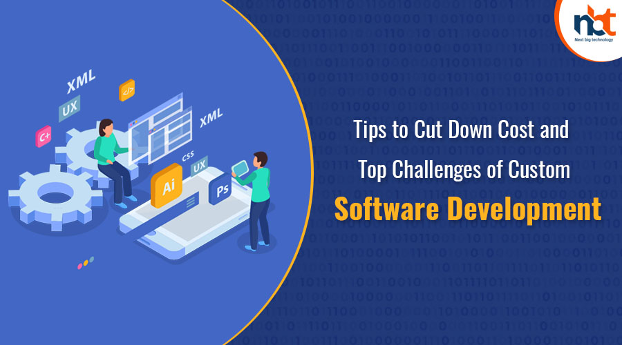 Tips to Cut Down Cost and Top Challenges of Custom Software Development