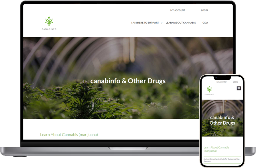 cannabis-info-leptop