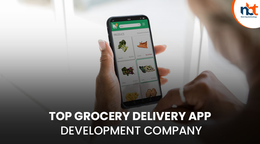 Top 10+ Grocery Delivery App Development Company