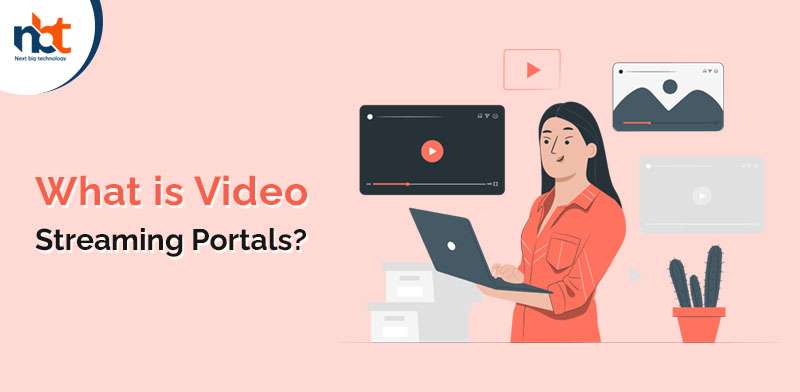 What is Video Streaming Portals