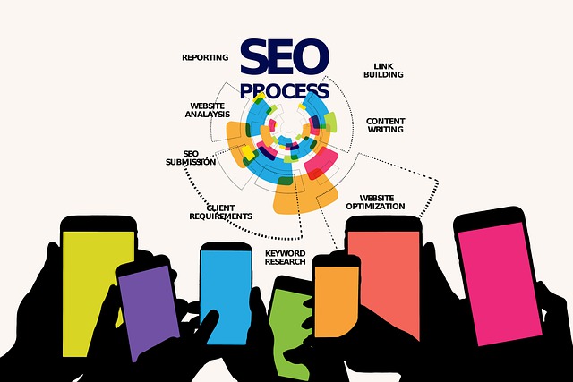 An illustration showing various steps of the SEO process