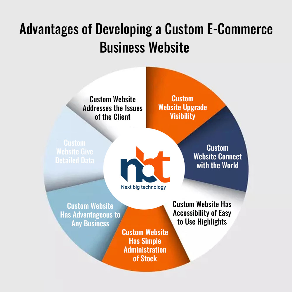 Advantages of Developing a Custom E-Commerce Business Website
