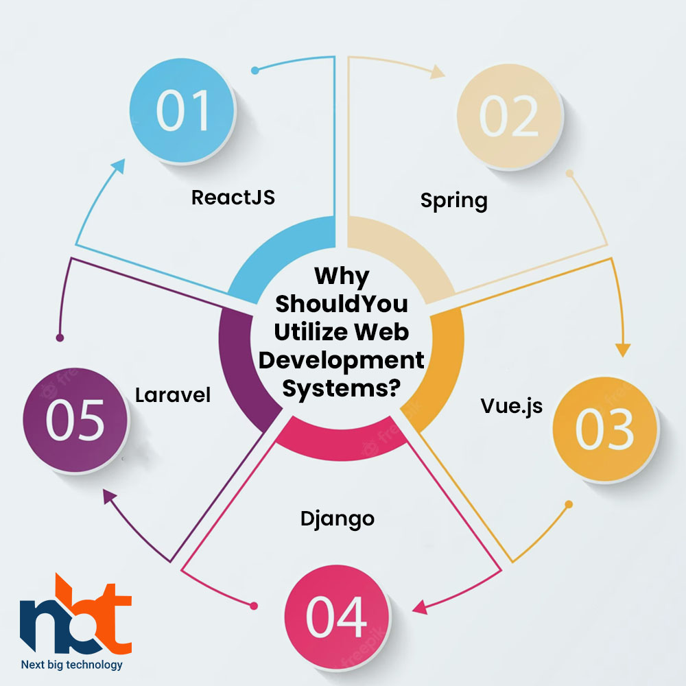 Why Should You Utilize Web Development Systems