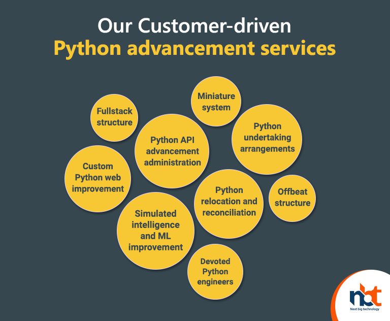 Our Customer-driven Python advancement services