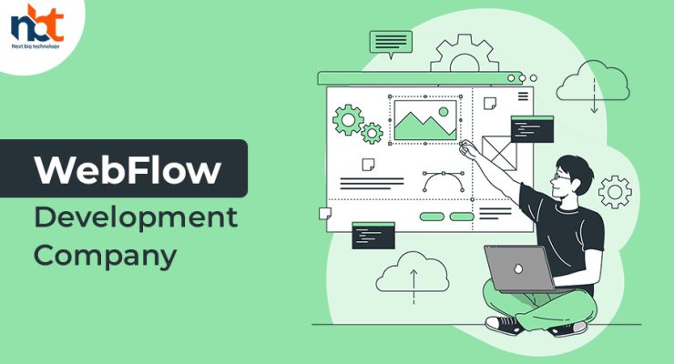 Web flow Development company