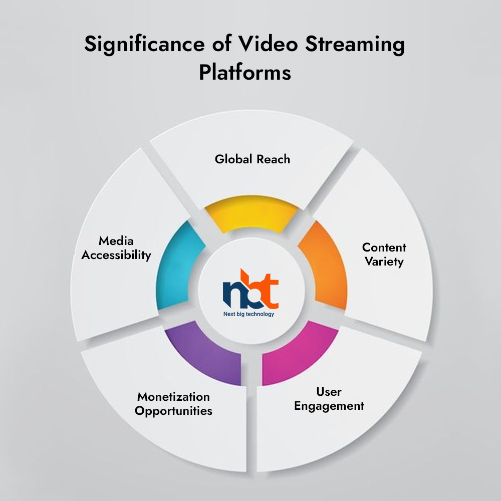 Significance of Video Streaming Platforms