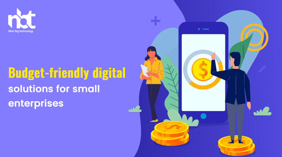 Budget-friendly digital solutions for small enterprises
