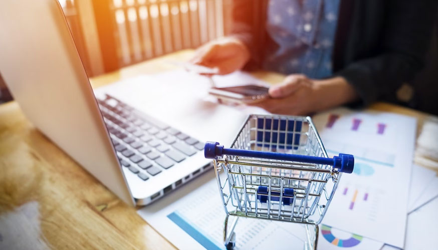 Shopping Cart and Checkout Process