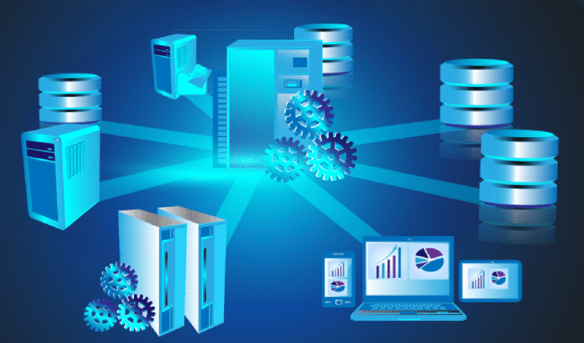 Understanding Database Management