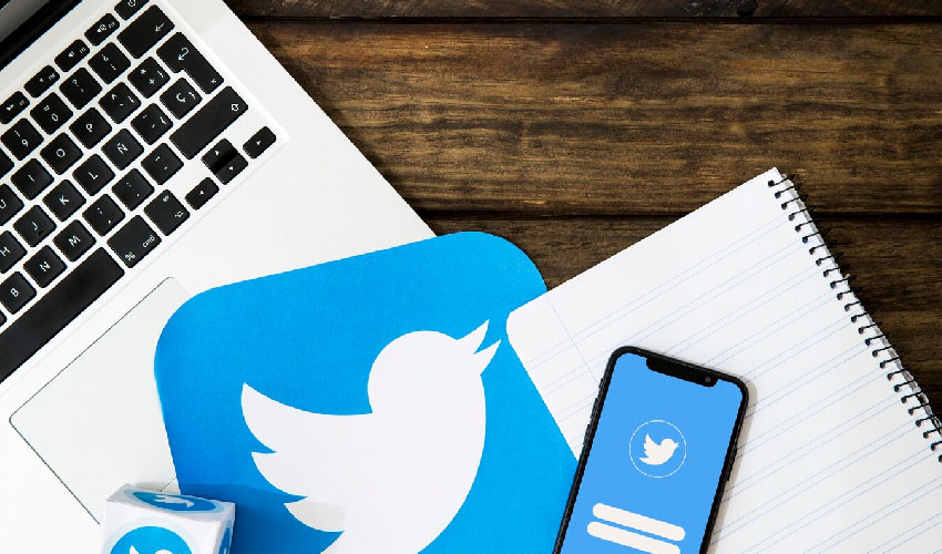 Why Should You Go for Twitter Clone App Development