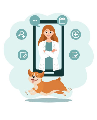 Online Pet Care and Veterinary app