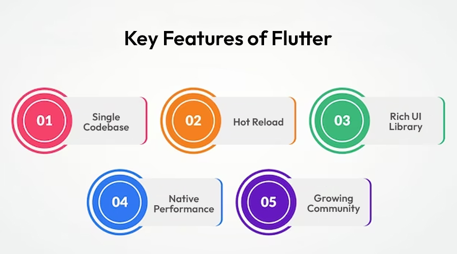 Enterprise-What-Is-Flutter-Complex-Guide-for-2024