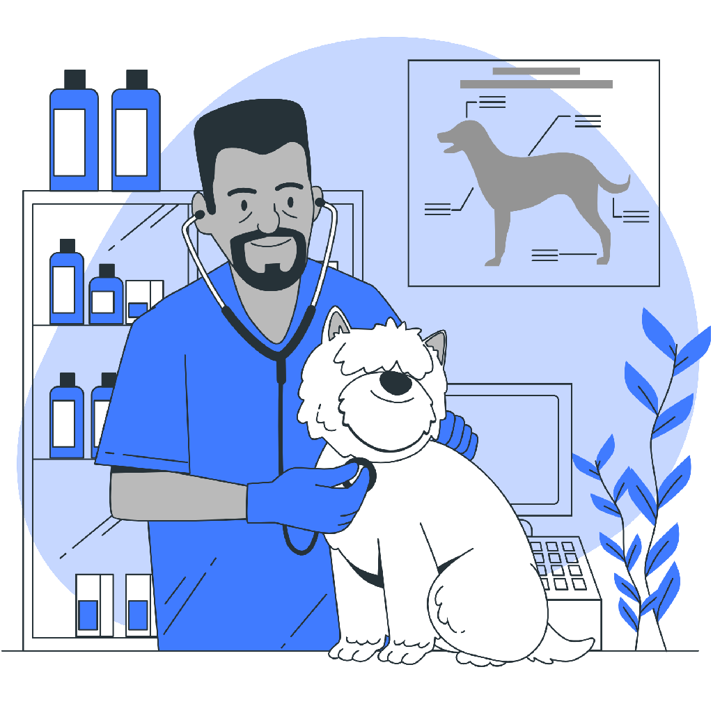 Pet Care and Veterinary Service App Development