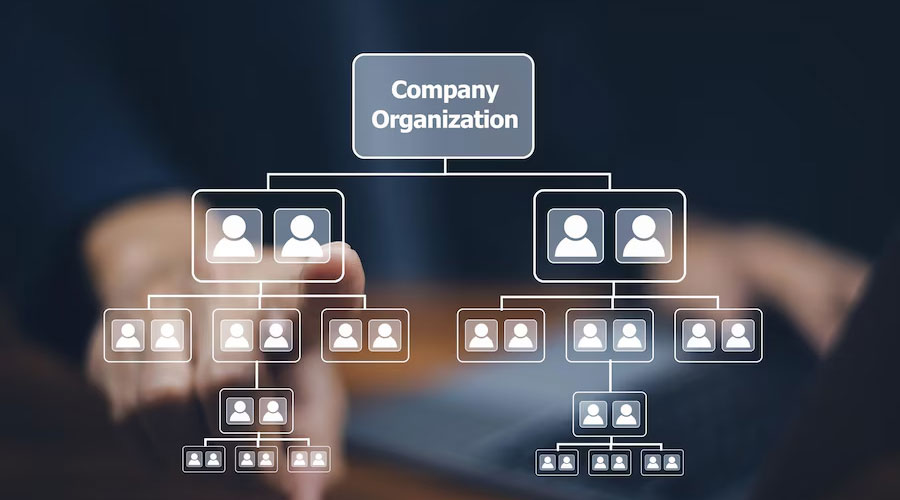 Software-Development-Team-Structure